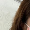 엘레겐트헤어
