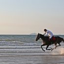 12.10.6 신두리해안에서 말달리고 .신두리사구.먼동해수욕장.구례포해수욕장 이미지