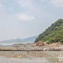 헬로카라반 티스토리