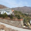 중앙부동산 이미지