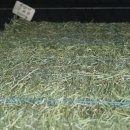 (주)빙키 이미지