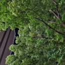 (주)피마 이미지