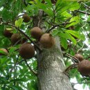 내 영혼에 바람이 분다 이미지