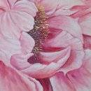 (주)보고유화 이미지