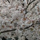 수출대로-5 이미지