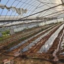 현호농원 이미지