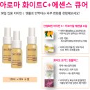 C앤C포항 이미지