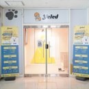 옐레드 애견유치원 애견호텔 하남미사점 이미지