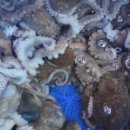 소도수산 이미지