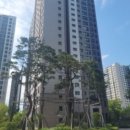 피터팬소아청소년과의원 이미지