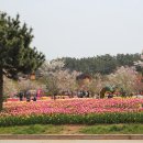 사회생활 잘 하는법 18 이미지