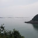 황금손왕만두 이미지