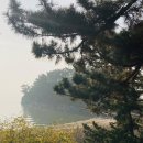 갤러리그림동산