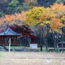 빙계군립공원 다목적광장 화장실 | (의성여행) 빙혈과 풍혈의 신비를 경험하는,빙계계곡!