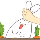 뚜레쥬르 발산마곡점