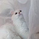 부산중학교 이미지