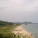 웰빙21C Daum카페