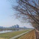 은행나무자동차공업사 네이버블로그