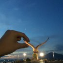 광장농장 이미지