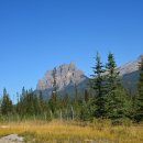 마운틴캠핑장 이미지