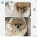 수성 메트로 동물병원 이미지