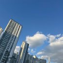 황산공원 야구장앞 6번화장실 | 직장인의 퇴근 후 따릉이 타고 한강 피크닉 즐기기/평일 한강공원/잠실한강공원/잠실한강공원라면/한강라면