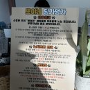 포천 애견카페 추천 &#39;뽀야네 딩가댕가&#39; 후기!!