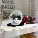 이솜동물병원 이미지