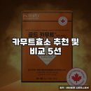 메디카서비스 | 카무트효소 추천 및 비교 5선