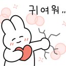 바구니(Baguni) 이미지