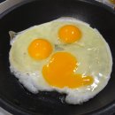 에그랜더 | 계란 다이어트 후기 에그패스팅 2일차 몸무게 변화 기록
