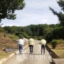 공설묘지 이미지