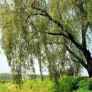 숨길을열다한의원 이미지