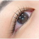 선브로우 이미지