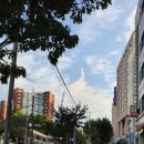 왕숙천 자전거도로10 | 한강 걷기(구리시 한강) : 구리와 남양주 경계 왕숙천 지나 덕소역까지 걷다. (21년 자료)