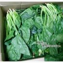 바노마트 이미지
