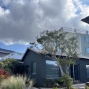 애월마실 | 제주 애월 감성숙소, 자쿠지 독채펜션 스테이 고스란 내돈내산 후기