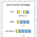워시나우오토 | 플래시왁스 바나나브리즈 사용후기 (추천)