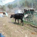 매화도서관 이미지