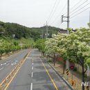 이팝