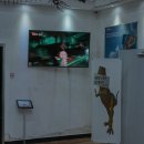 공룡게임장 이미지