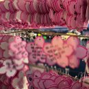 삼양교회 개방화장실 | 경북 김천 연화지 벚꽃 실시간ㅣ연화지 벚꽃현황ㅣ연화지 야경ㅣ연화지 주차장 화장실 위치