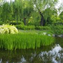 부평공원1 이미지