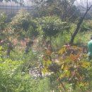 춘호농장 이미지