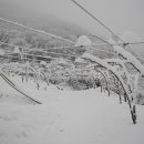 윤성농장 이미지