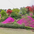 진안공영주차장 이미지