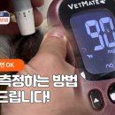 24시잠실ON동물의료센터 이미지