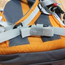 뉴 비너스 이미지