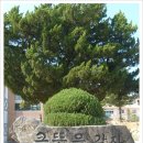 용궁초등학교 이미지