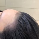 크레센트421 이미지